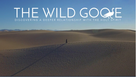 Wild goose study Wild goose study